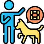 Pet Behaviors and Training Tips