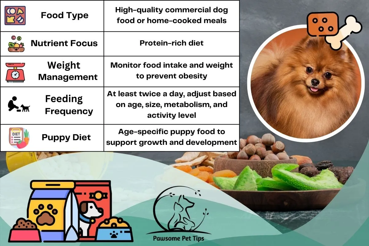 Food and diet chart for Pomeranian Dog
