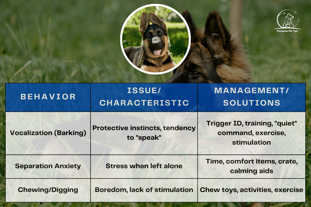 Pawsome Pet Tips guide on German Shepherd behavior issues and solutions, addressing barking, separation anxiety, and chewing/digging with effective management strategies.
